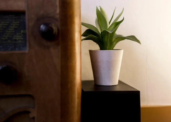 Authentique Studio Au Coeur Du Vieux Lyon Ail